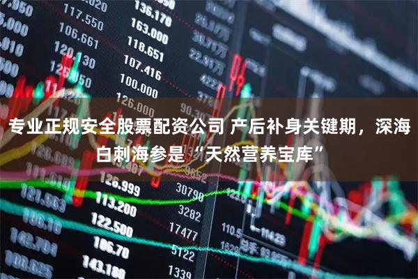 专业正规安全股票配资公司 产后补身关键期，深海白刺海参是 “天然营养宝库”